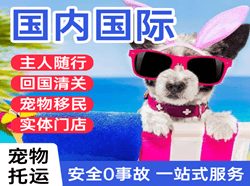 三女河航空快递国际宠物托运 【国